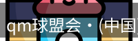 qm球盟会·(中国)-球盟会